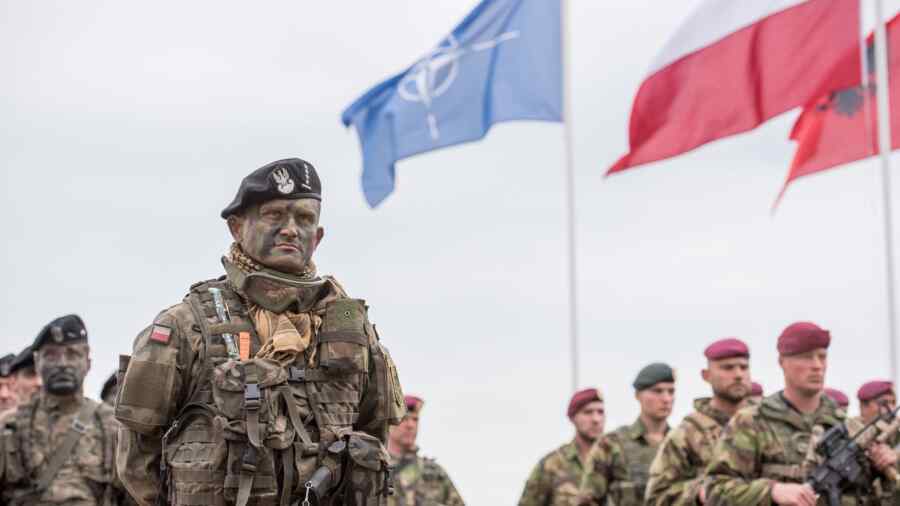 NATO will have to send troops to Ukraine or accept disaster - Luttwak